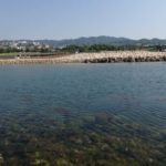箱作海水浴場