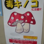毒キノコに注意