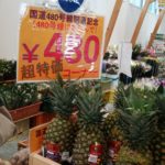 国道480号開通記念