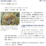 見慣れぬ顔の魚が発見
