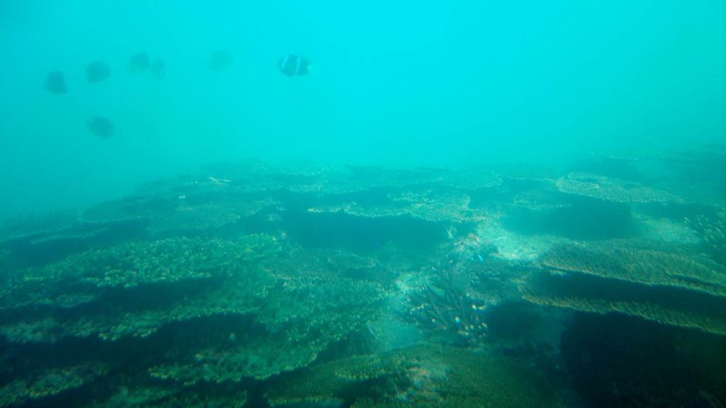 海中展望塔風景