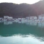 海情報 20170813