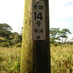 南海時代の電柱