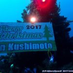 海中クリスマスツリー2017 in 串本