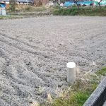 田んぼ20180130