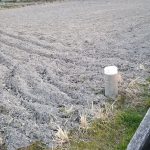 田んぼ20180131