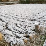 田んぼ20180213