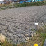 田んぼ20180228