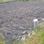 田んぼ20180301