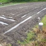 田んぼ20180508