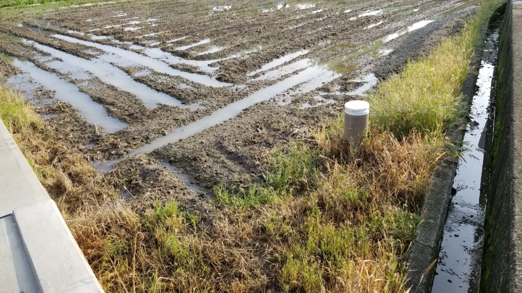 田んぼ20180514