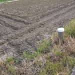 田んぼ20180516