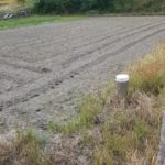 田んぼ20180528