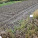 田んぼ20180601