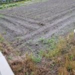 田んぼ20180606