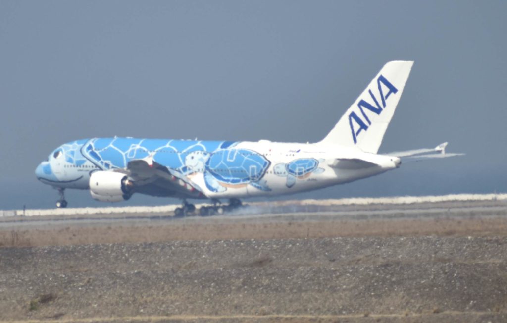 ANA JA381A
