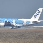 ANA JA381A